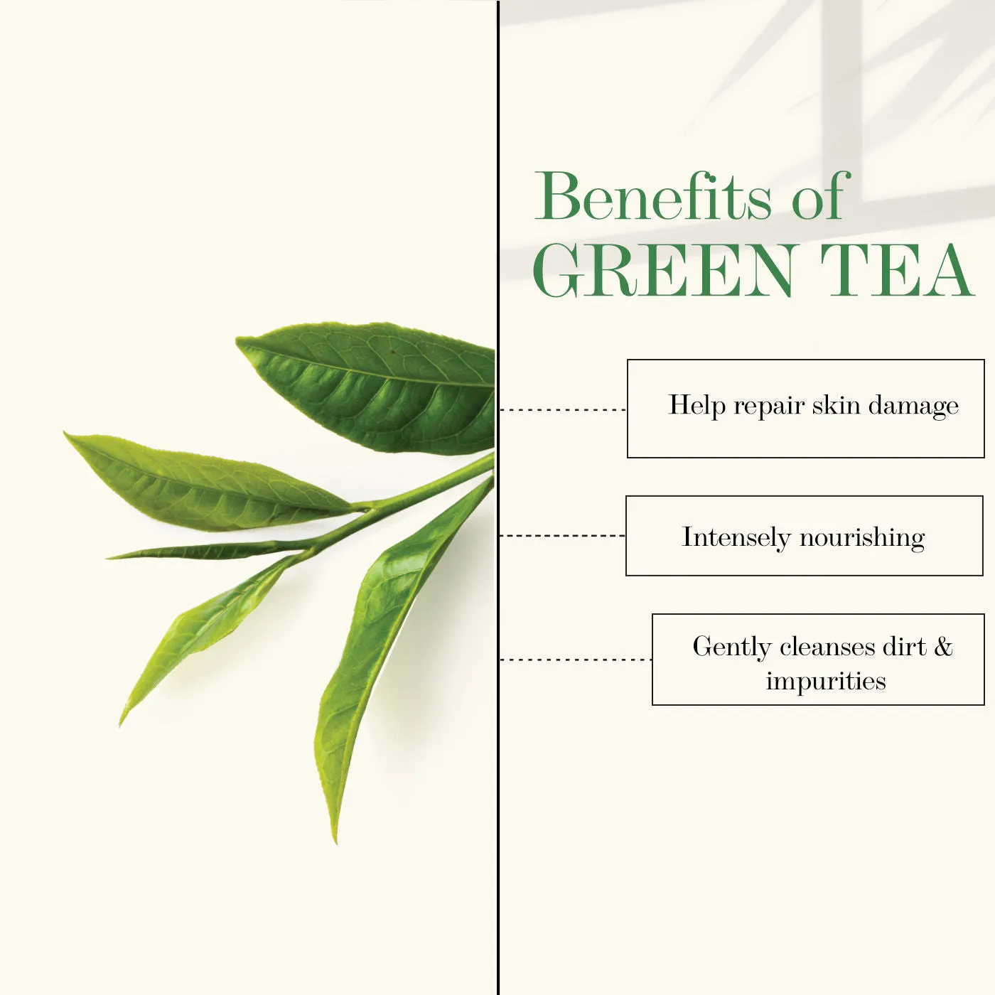 Good Vibes Green Tea Rejuvenating Face Mask | Moisturizing, Cleansing | No Parabens, No Sulphates, No Mineral Oil, No Animal Testing (50 gm)